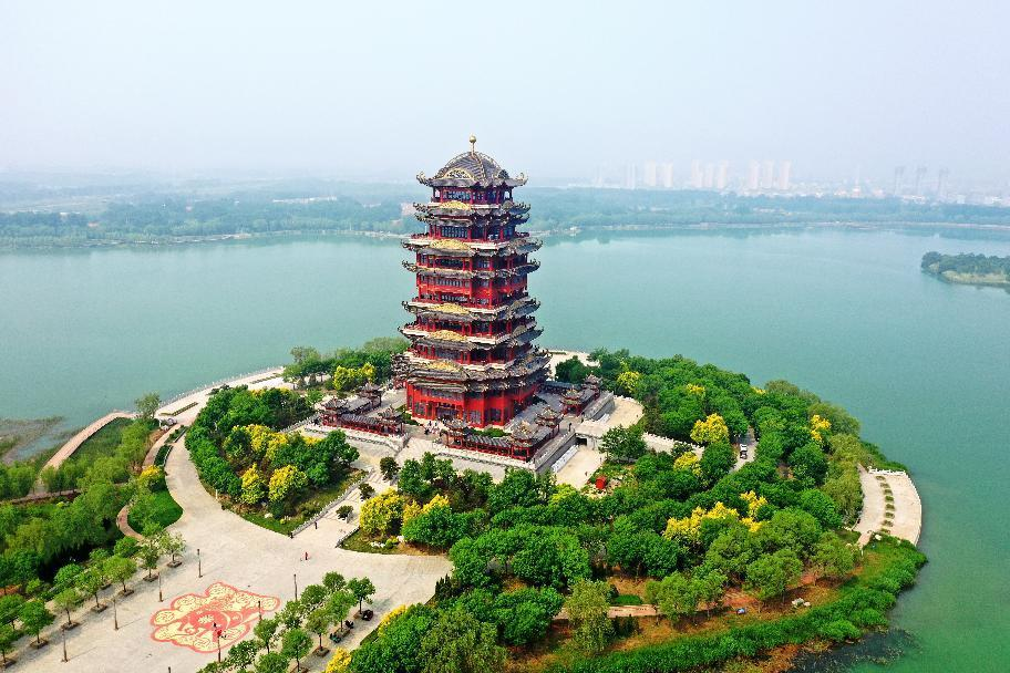 闭园通告！滨州这里正在筹办主题花灯活动！