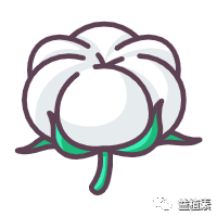棉花(1).png