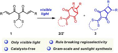 8,可见光驱动的无催化剂分子内交叉和直链[2   2]环加成反应