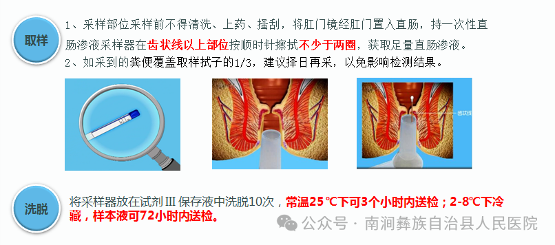 fh染色是什么意思病理科开展新项目啦！_https://www.jmylbn.com_新闻资讯_第7张