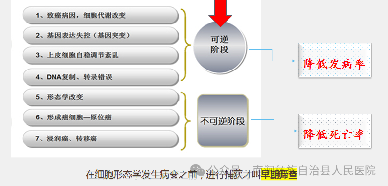 fh染色是什么意思病理科开展新项目啦！_https://www.jmylbn.com_新闻资讯_第6张