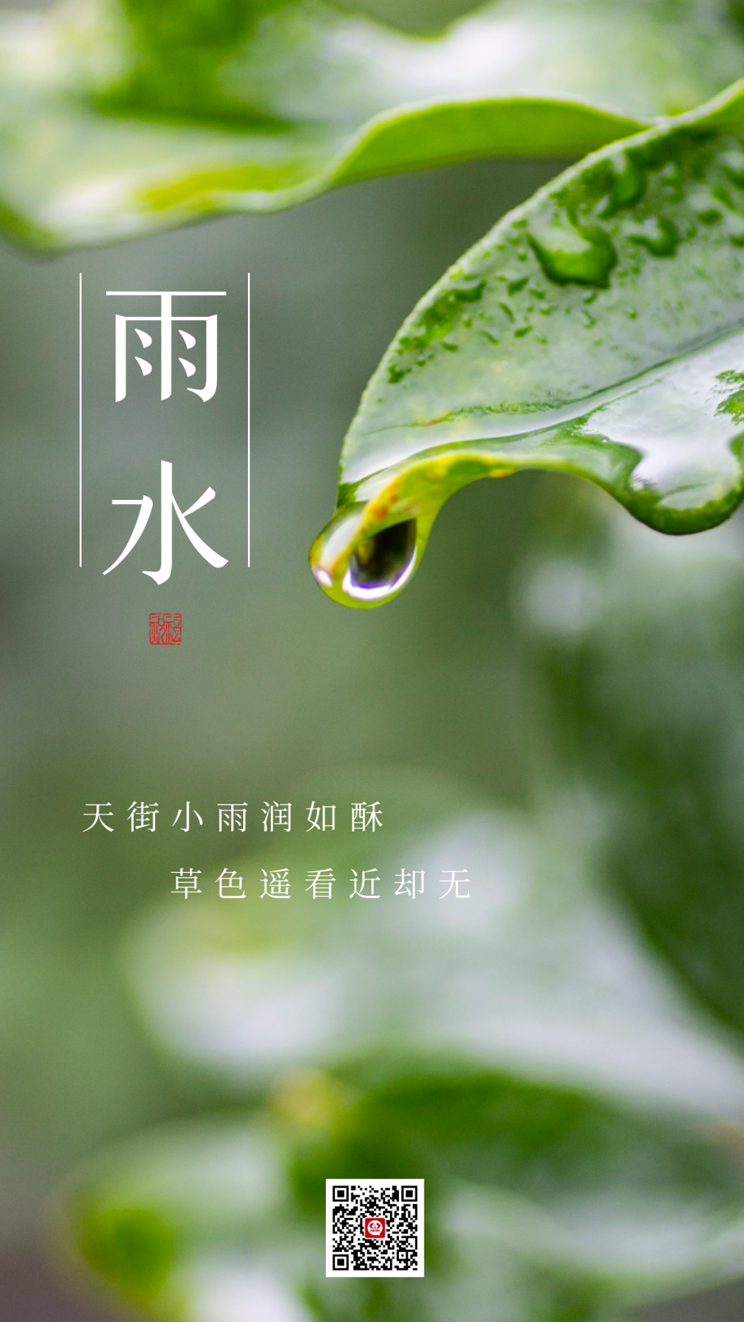 今日雨水丨春雨潇潇润万物!不负好春光,奋斗正当时_大自然_人们_温情
