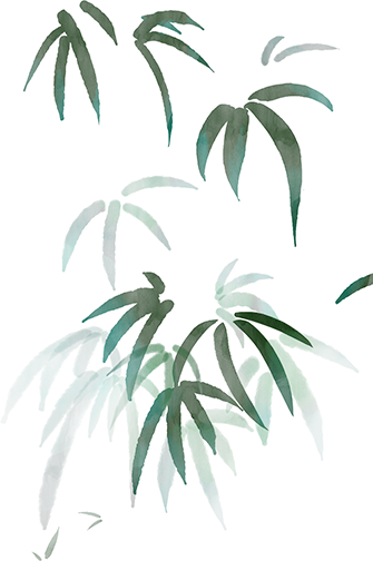 中药饮片的煎煮方法