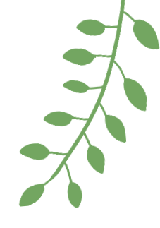 家用雾化器怎么用儿童家用雾化器使用指南：方法与注意要点全知晓_https://www.jmylbn.com_新闻资讯_第2张