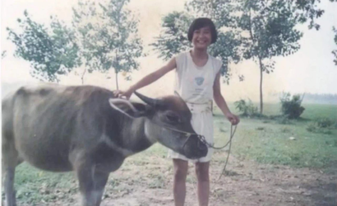 贾玲:从喜剧演员到导演,她的成功之路如何逆袭娱乐圈?