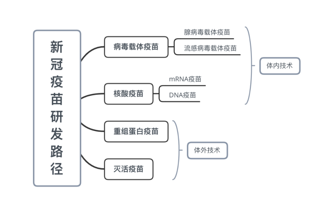 novavax疫苗对变种有效,几款疫苗比较 - 疾病防治_洛杉矶华人工商