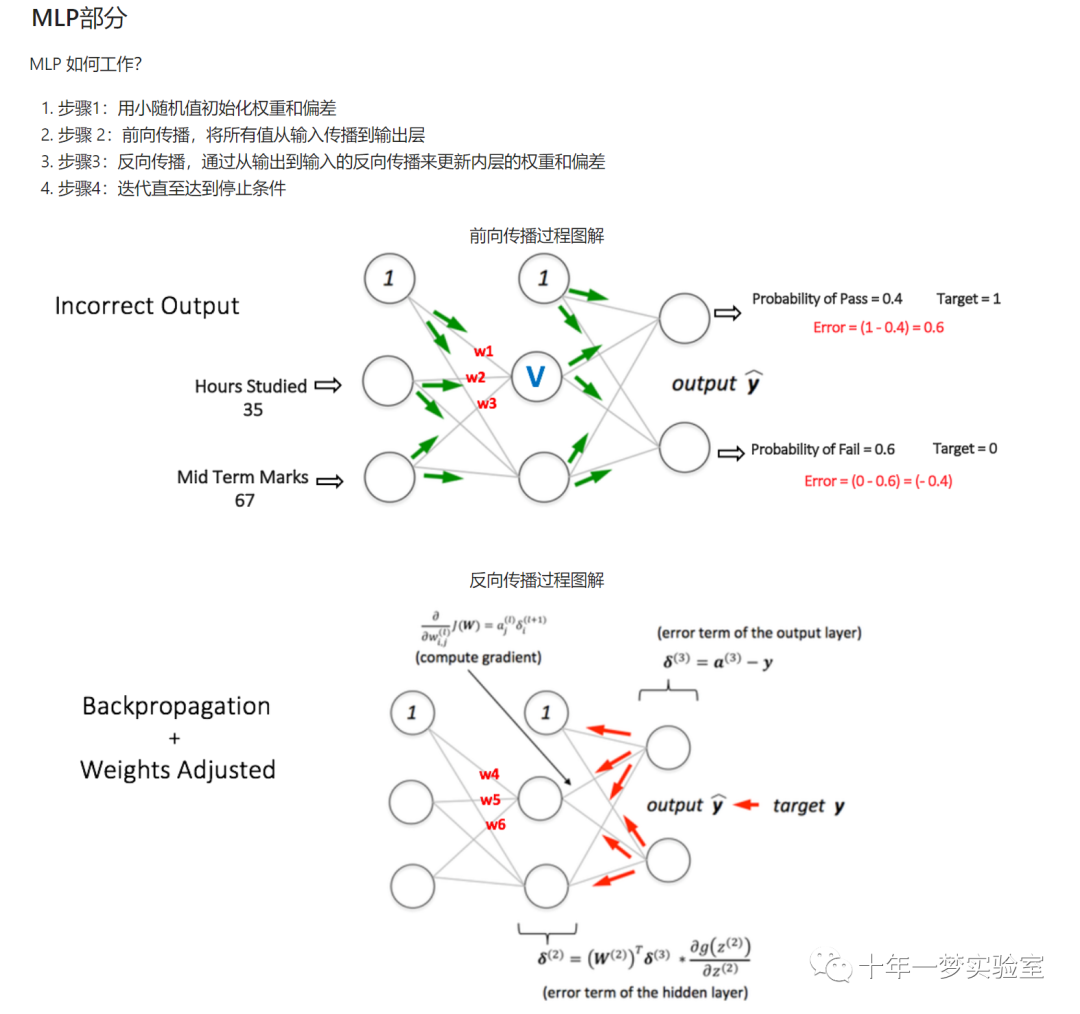 【机器学习】人工神经网络-多层感知器（MLP）对鸢尾花数据集进行分类