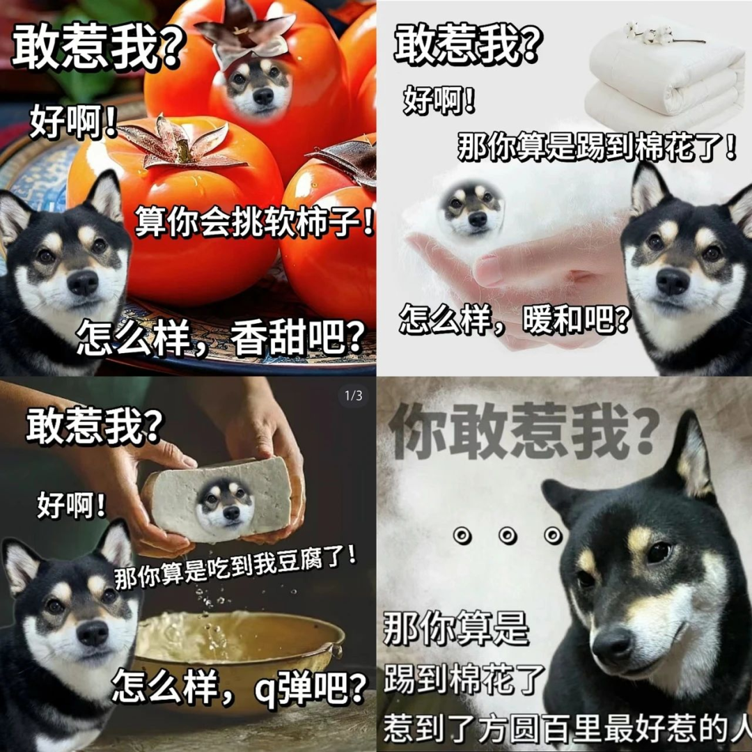 他能火我真是没想到啊