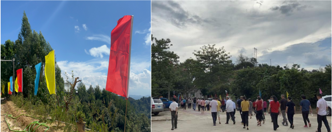 彩旗迎风飘，蜜柚观摩会来报到，走，看看去！