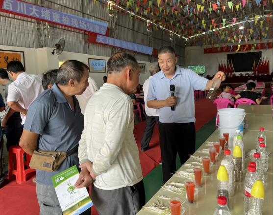 海威沃小分子有机水溶肥现场试验