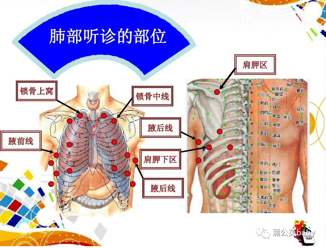 听诊器怎么用家用小器材 ｜ 听诊器_https://www.jmylbn.com_新闻资讯_第1张
