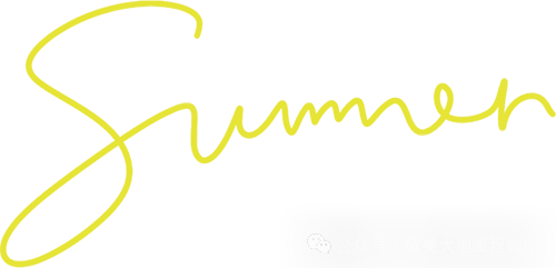 技术深一度城市柏油路面MASW面波勘探中，偏移距选多少<a class=