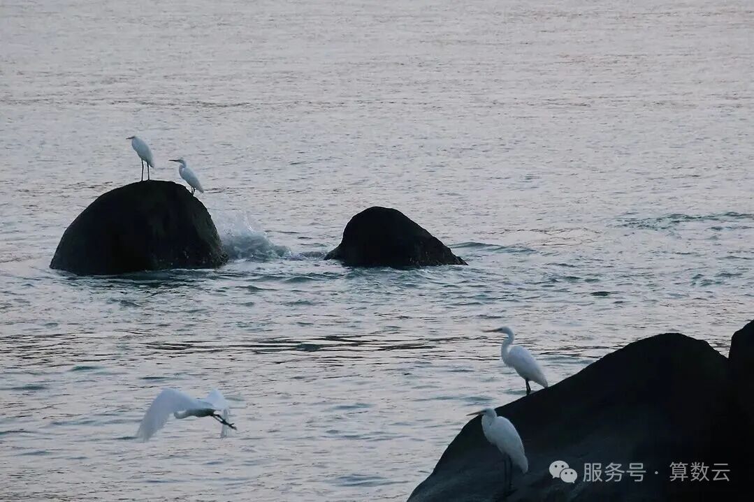 低代碼平台行業應用分佈